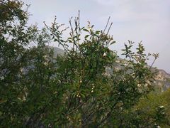 -山西通天峡景区