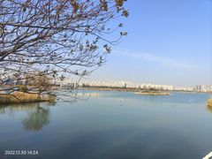 -贡湖湾湿地公园