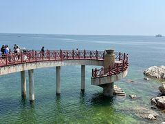 -养马岛旅游度假区