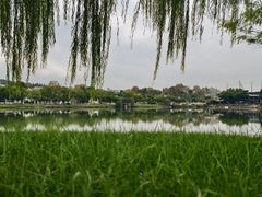-东湖落雁景区