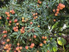 -水濂山森林公园