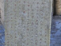 -上海佘山国家森林公园天马山园