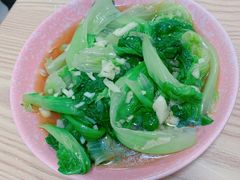 生菜-新农都水产市场