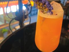 -Sirena海妖日咖夜酒