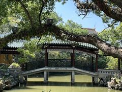 -江心屿景区