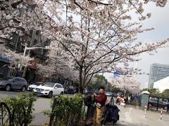 -永乐路-路侧停车场