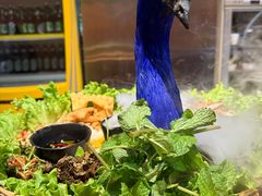 -品德宏·孔雀宴的发源地(金塔园店)