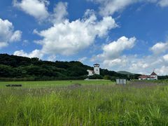 -济州森林小火车生态公园