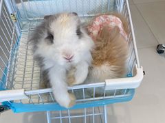 -怪兽屋·羊驼·猫咖·狗咖(俊华广场店)