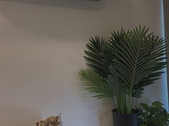 -川耳坊专业采耳馆