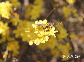 初暖乍寒的季节，清风没有冬天的凛冽，阳光没有六月的炎