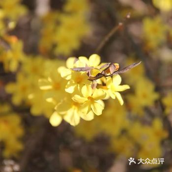 初暖乍寒的季节，清风没有冬天的凛冽，阳光没有六月的炎