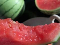 -庞各庄翠芳园西瓜蔬菜基地采摘园