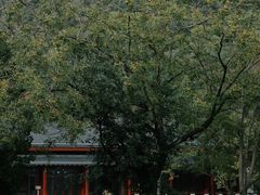 -黄公望隐居地