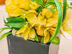 -望乡楼上海菜(陆家浜路店)