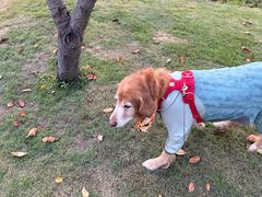 -东钱湖旅游度假区