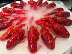 -红盔甲·小龙虾(天钥桥店)