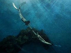 -苏州海洋馆