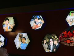 -沪小胖·小龙虾·蓝龙王(八佰伴店)