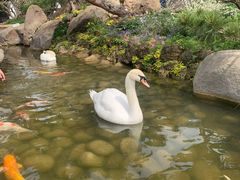 -罗红摄影艺术馆