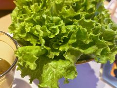 -杨记齐齐哈尔烤肉(总店)