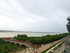 -宝安西湾红树林湿地公园