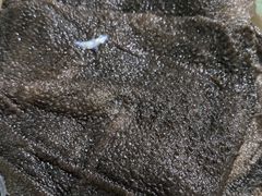-星鸿社重庆老火锅