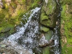 -四门塔风景区