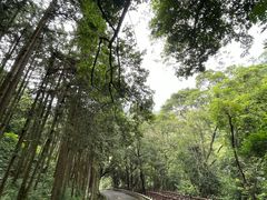 -广州市石门国家森林公园