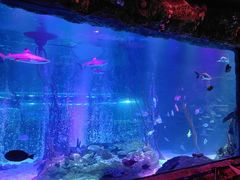 -沈阳海洋探索中心