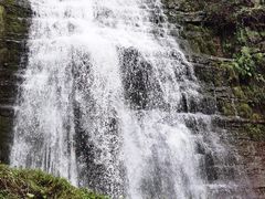 -鹿院坪生态旅游景区