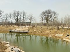 -华府九号海鲜烧烤大排档(龙域店)