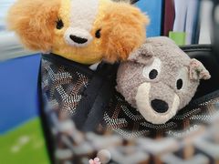 -Goyard 高雅德(国贸商城店)