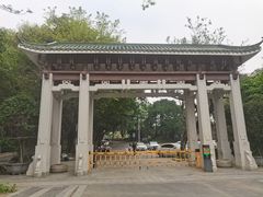 -王借岗森林公园