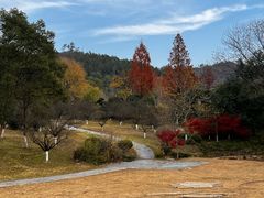 -黄陂区野村谷景区