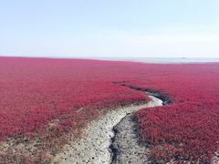 -红海滩国家风景廊道
