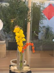 -AGE LOCK 锁龄美肌