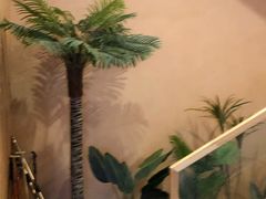 -泰澜·泰式古法按摩SPA(华泰广场店)