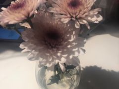 -伊斯坦布尔土耳其清真咖啡餐厅