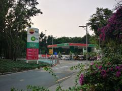 -中油碧辟·BP加油站(北环店)