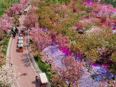 -南通洲际绿博园