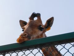 -秦皇岛野生动物园