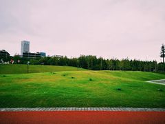 -上海山野camping·户外天幕烧烤·团建拓展营地