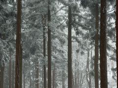 -溪口商量岗景区