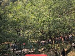 -宁波五龙潭景区