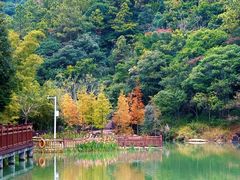 -广州白江湖森林公园