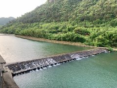 -芦茨金富饭庄·25年老字号·专做稻草鸡