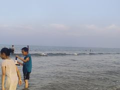 -日照海滨国家森林公园