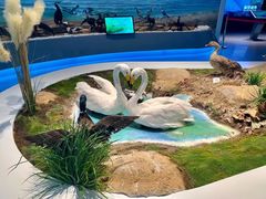 -大连市规划展示中心