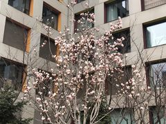 -和美电影艺术中心(万国城店)